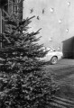 © Wolfgang Zurborn