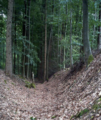 Hohlwege am 'Krombacher Schlag' - Alte Landstra�e (Napoleonweg)