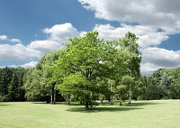 Kurpark & Kurhalle Bad Westernkotten
