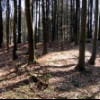 zur Detailansicht