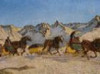 Bild des Museums oder eines Exponates