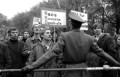 Bild der Serie