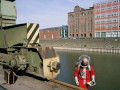 Bild der Serie