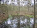 Bild der Serie
