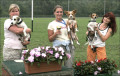 Bild der Serie