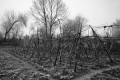 Bild der Serie
