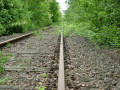 Bild der Serie