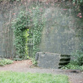 Bild der Serie