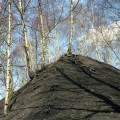 Bild der Serie