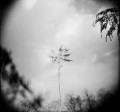 Bild der Serie
