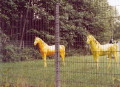Bild der Serie