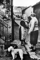 Bild der Serie