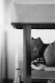 Bild der Serie
