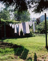 Bild der Serie