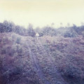 Bild der Serie