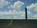 Bild der Serie