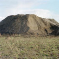 Bild der Serie