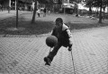 Bild der Serie