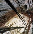 Bild der Serie