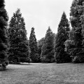 Bild der Serie