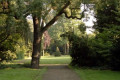 Bild der Serie