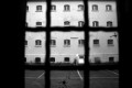 Bild der Serie