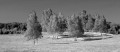 Bild der Serie