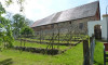 Weinberg am Rittergutschloss Taucha