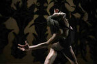 Bild schrit_tmacher 2010 &ndash; tanz und tanzARTiges von heute   
