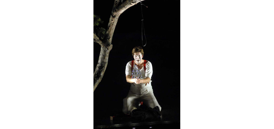 The Magic Flute © 2008, Bettina Stöß