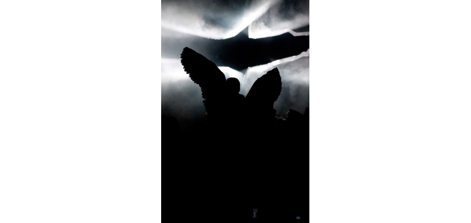 Lohengrin © 2012, Marcus Lieberenz