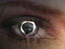 F.I.N.D. 2012