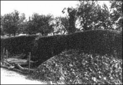 Meterdicke Scherbenpakete kennzeichnen die Raerener Grabungen.