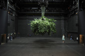 Foto: Sebastian Hoppe