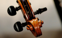 Preußens Hofmusik | (c) Monika Rittershaus Preußens Hofmusik | (c) Monika Rittershaus