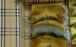 Führung Spezial ´Maske | Foto: Foto: Hanns Joosten Führung Spezial ´Maske | Foto: Foto: Hanns Joosten