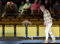 Giuseppe Verdi: Rigoletto | 2013 | Bettina Stöß