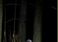 Don Giovanni | (c) Monika Rittershaus